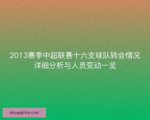 2013赛季中超联赛十六支球队转会情况详细分析与人员变动一览
