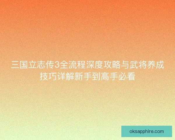 三国立志传3全流程深度攻略与武将养成技巧详解新手到高手必看